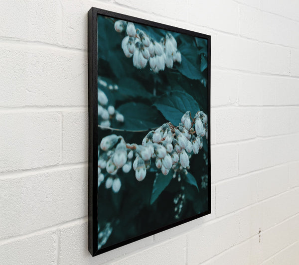 Teal Whispers Of Spring
