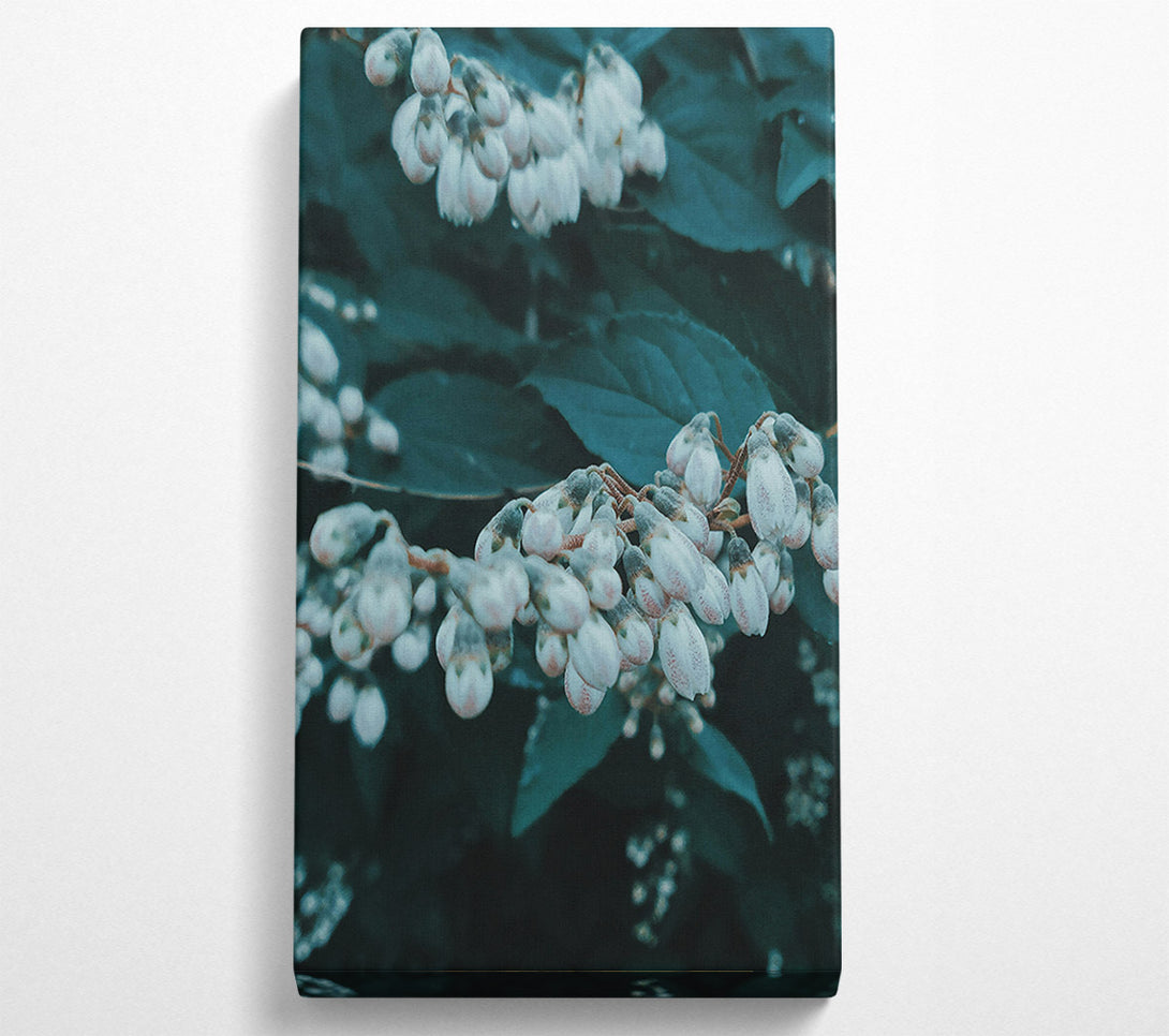  A Canvas Print of Teal Whispers Of Spring Canvas Wall Art