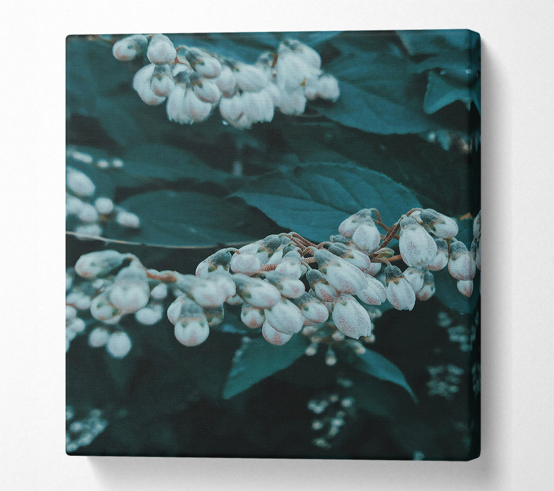  A Canvas Print of Teal Whispers Of Spring Canvas Wall Art