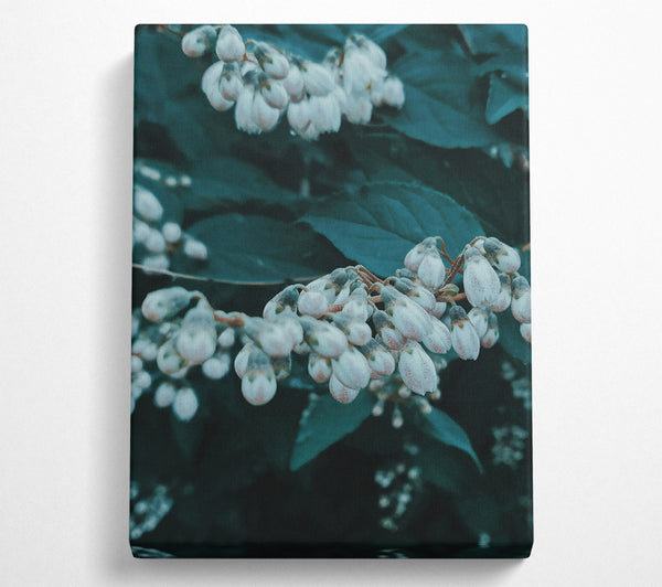  A Canvas Print of Teal Whispers Of Spring Canvas Wall Art