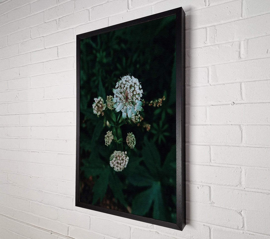  A Canvas Print of Emerald Bloom Whisper Canvas Print