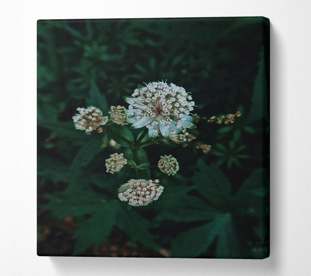  A Canvas Print of Emerald Bloom Whisper Canvas Print