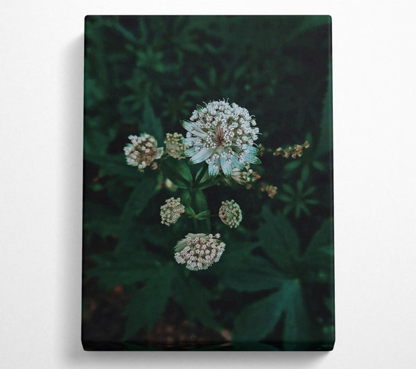  A Canvas Print of Emerald Bloom Whisper Canvas Print