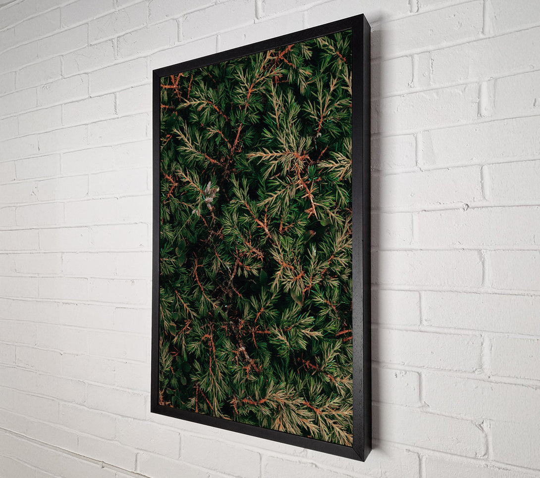  A Canvas Print of Emerald Green Branches Canvas Print