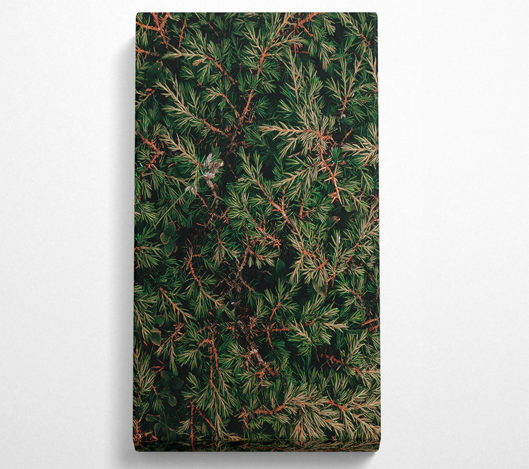  A Canvas Print of Emerald Green Branches Canvas Print