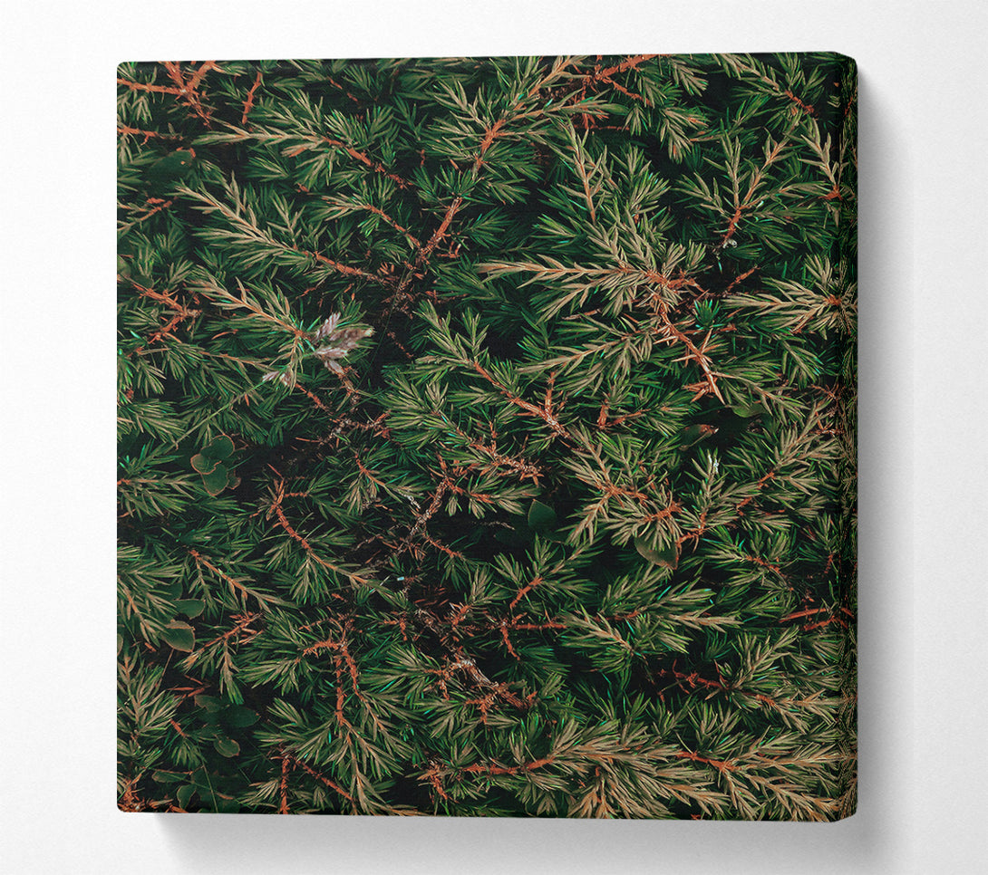  A Canvas Print of Emerald Green Branches Canvas Print