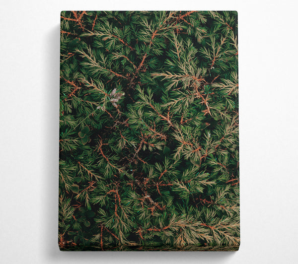  A Canvas Print of Emerald Green Branches Canvas Print