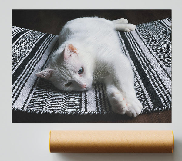 White Cat On Stripes Print