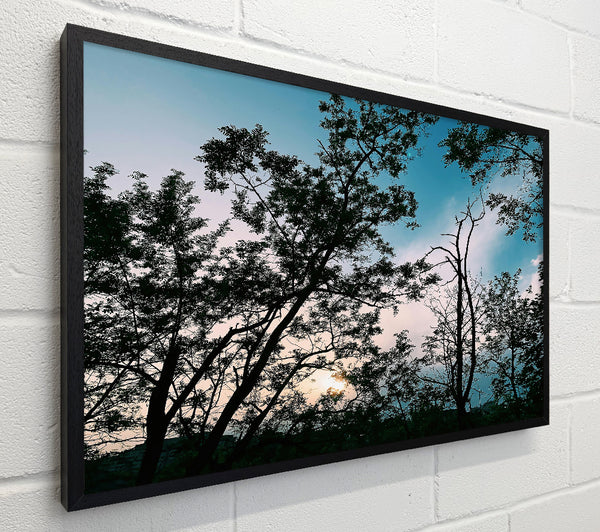 Azure Twilight Silhouettes