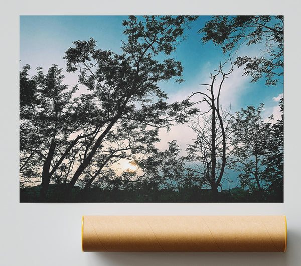 Azure Twilight Silhouettes Poster