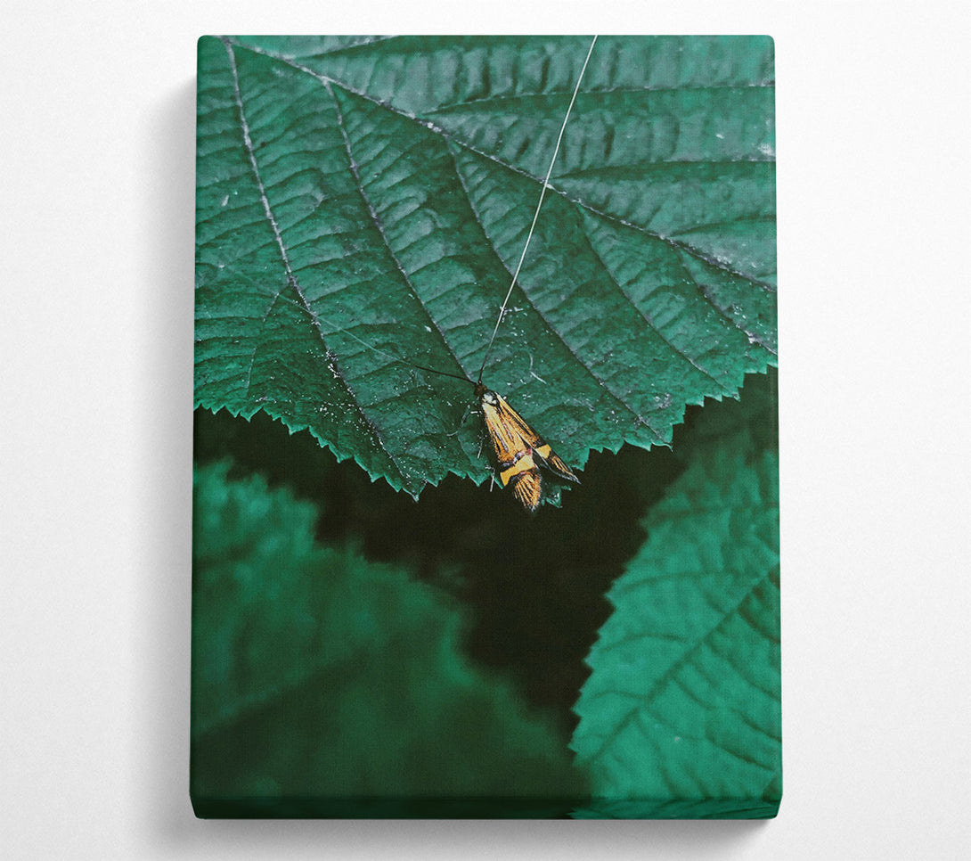 A Canvas Print of Loading... Canvas Print