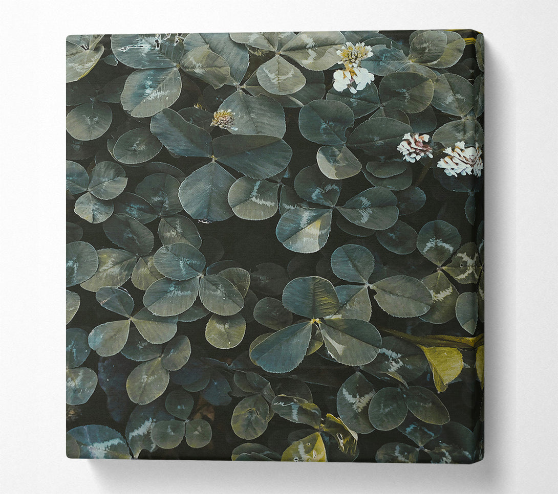  A Canvas Print of Emerald Green Clover Field Canvas Wall Art
