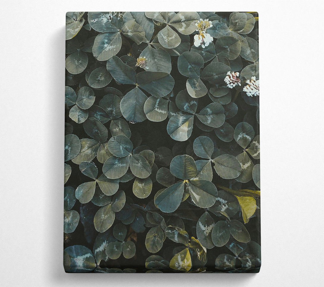  A Canvas Print of Emerald Green Clover Field Canvas Wall Art