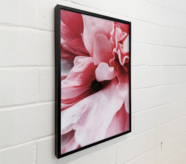 Crimson Petal Embrace