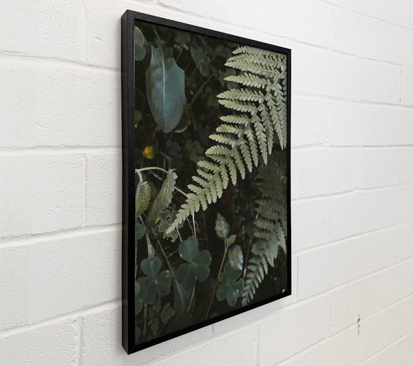 Silver Green Fern Fronds