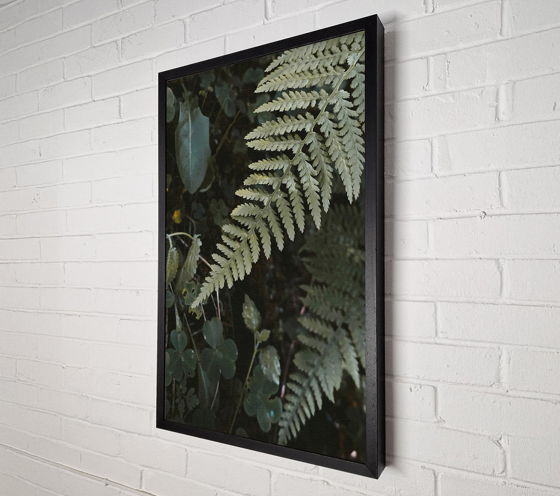  A Canvas Print of Silver Green Fern Fronds Canvas Wall Art