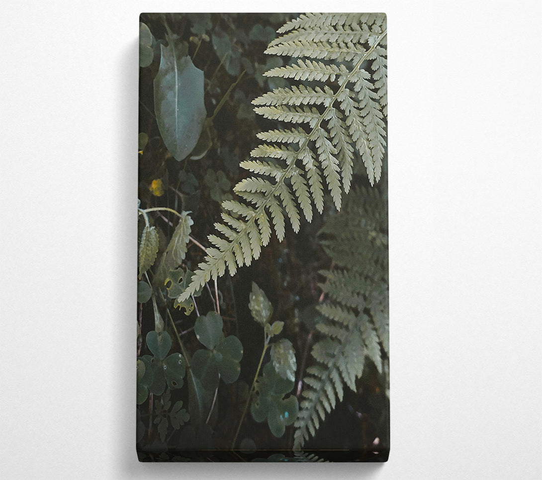  A Canvas Print of Silver Green Fern Fronds Canvas Wall Art