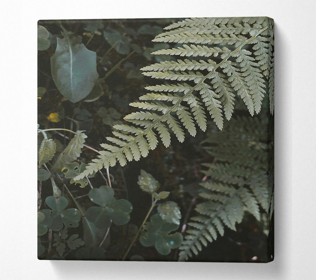  A Canvas Print of Silver Green Fern Fronds Canvas Wall Art