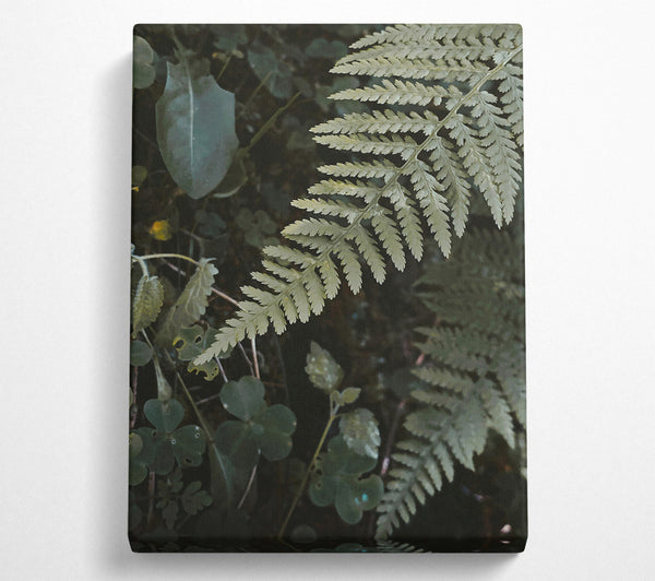  A Canvas Print of Silver Green Fern Fronds Canvas Wall Art