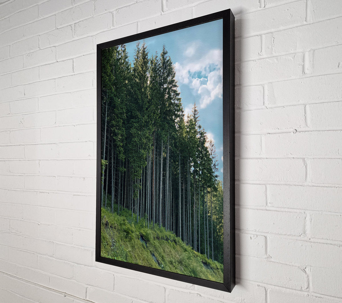  A Canvas Print of Emerald Forest Line Canvas Wall Art