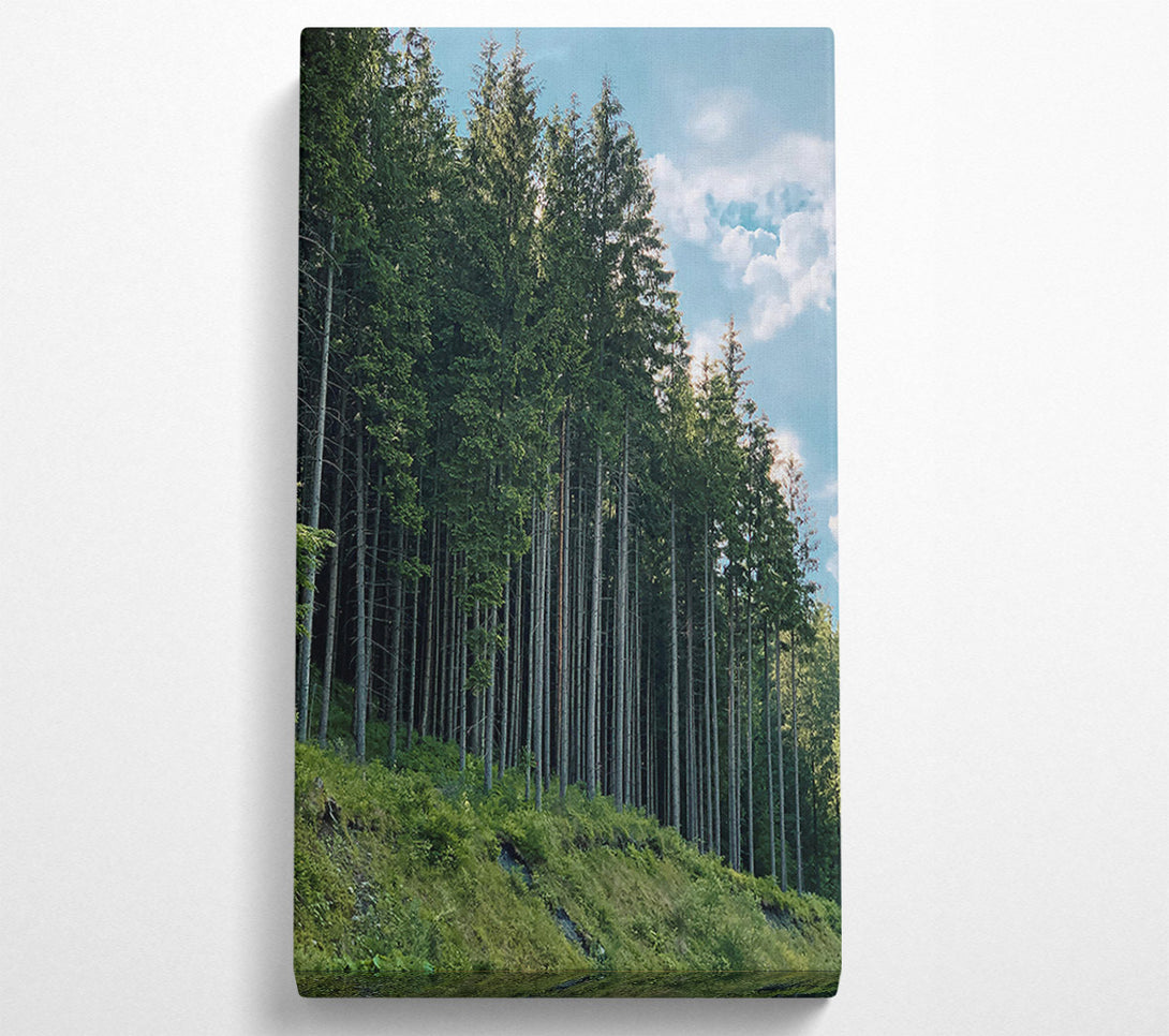 A Canvas Print of Emerald Forest Line Canvas Wall Art