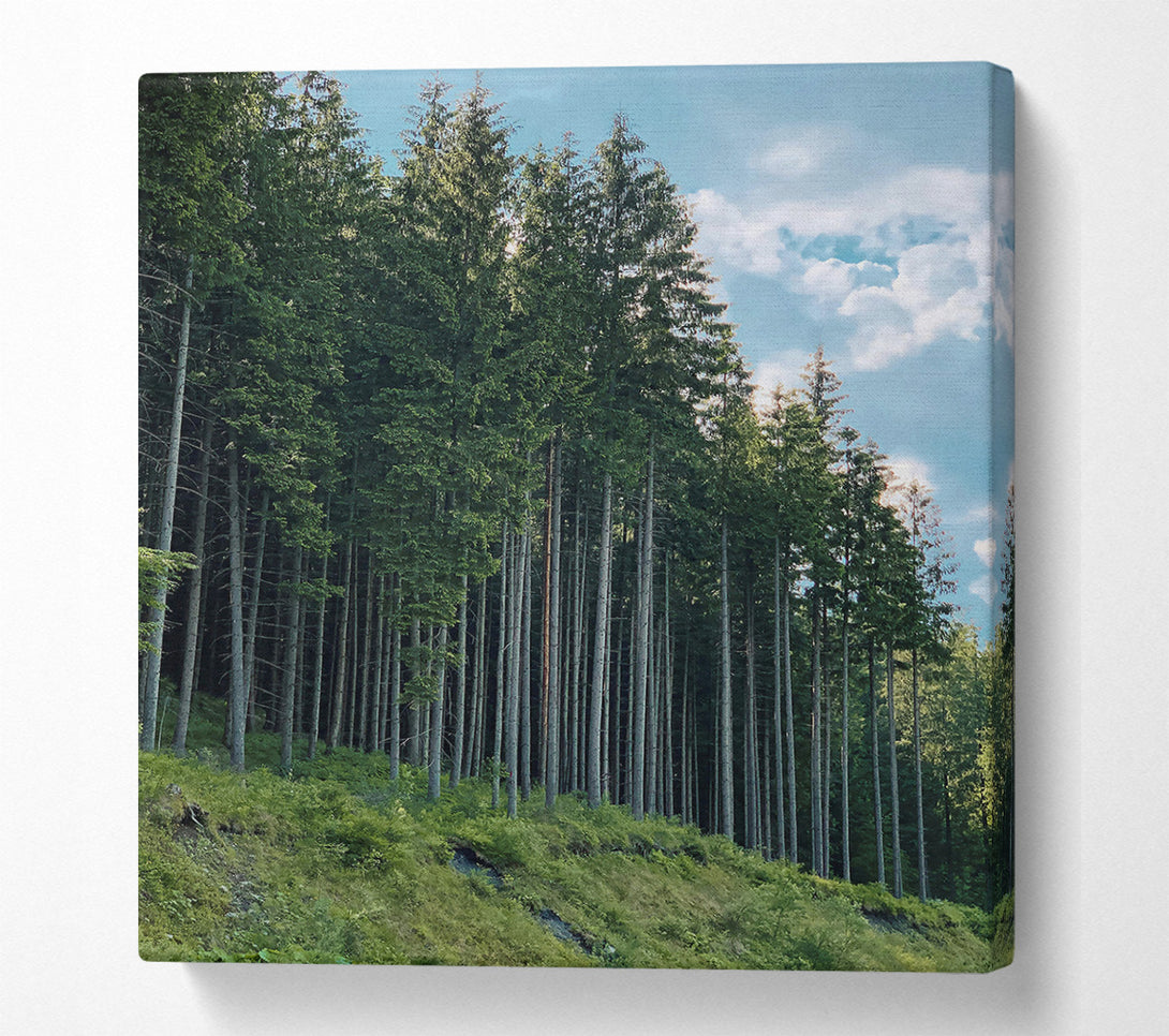  A Canvas Print of Emerald Forest Line Canvas Wall Art