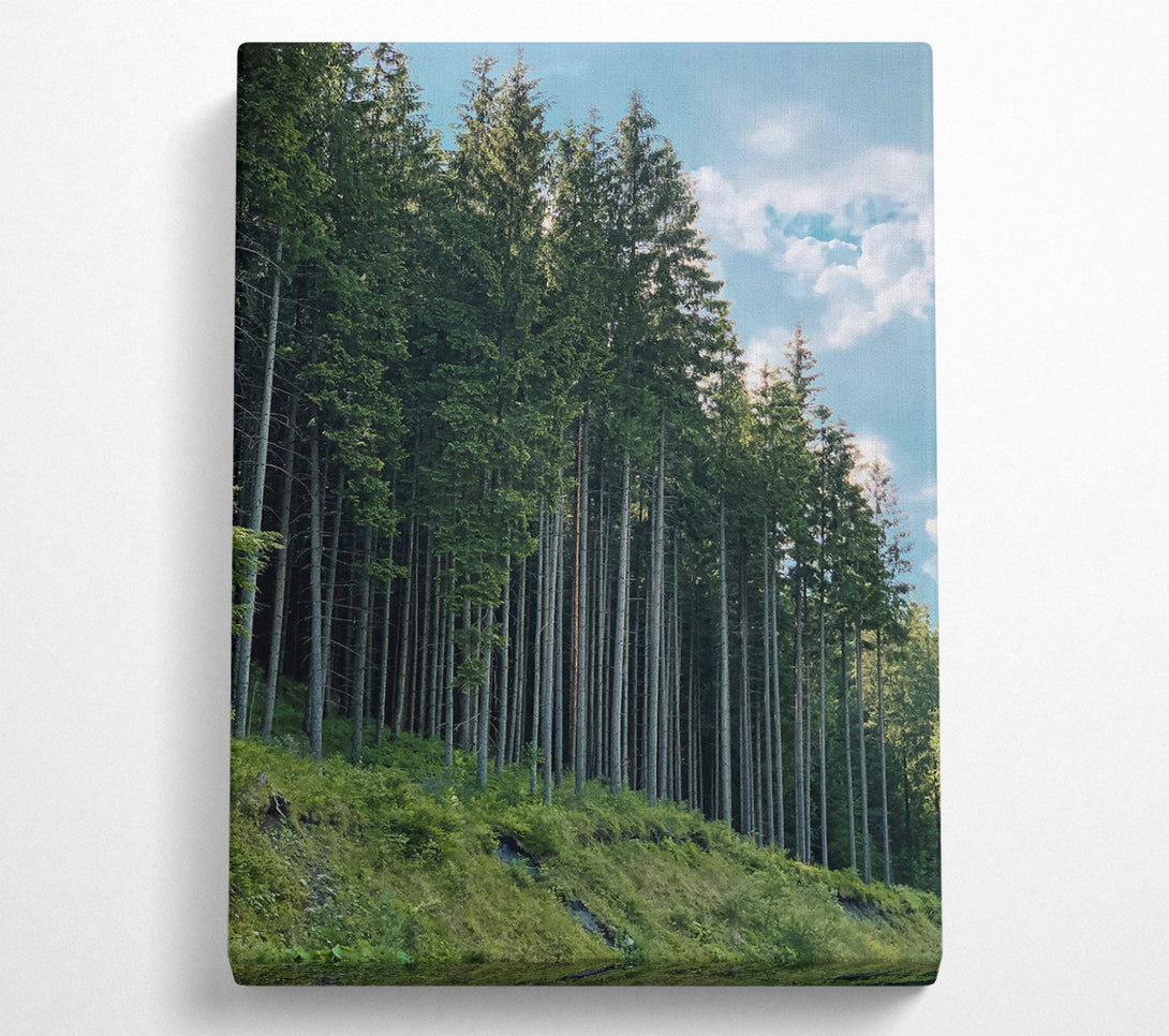  A Canvas Print of Emerald Forest Line Canvas Wall Art