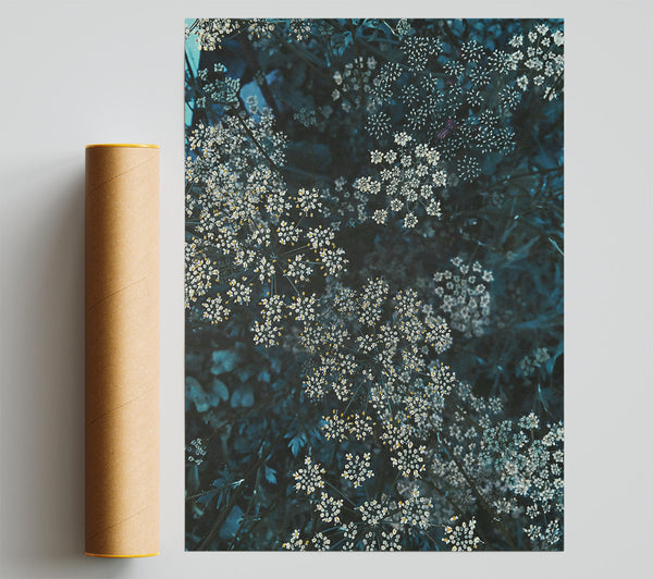 Teal Blooms Of Summer Poster