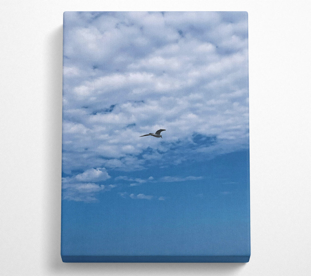  A Canvas Print of Blue Sky Freedom Canvas Print