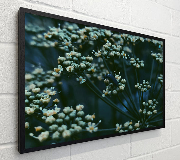Teal Flower Bloom
