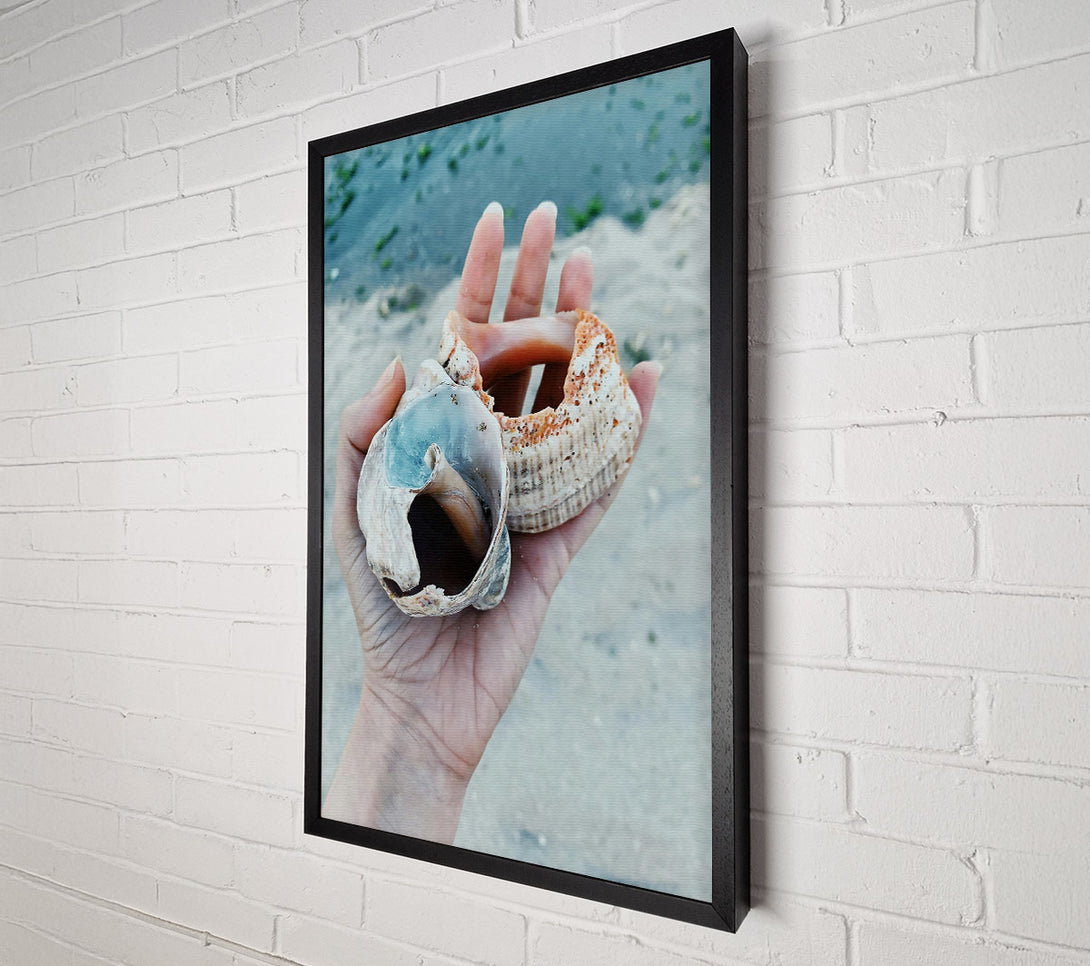  A Canvas Print of Blue Seashell Treasure Canvas Art