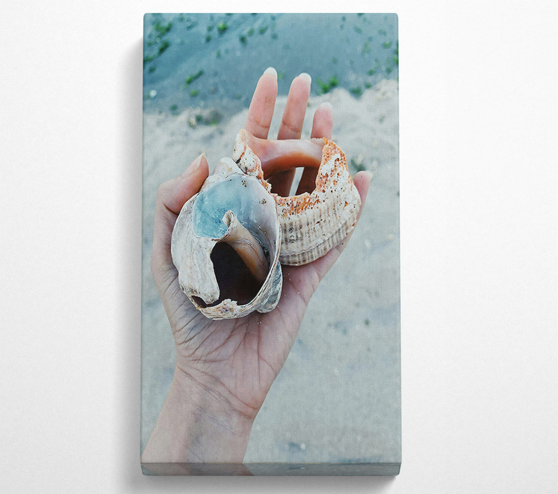  A Canvas Print of Blue Seashell Treasure Canvas Art