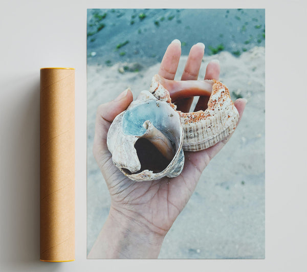 Blue Seashell Treasure Print