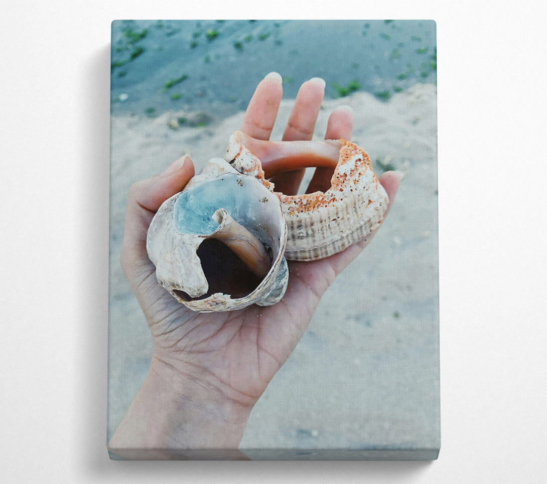  A Canvas Print of Blue Seashell Treasure Canvas Art