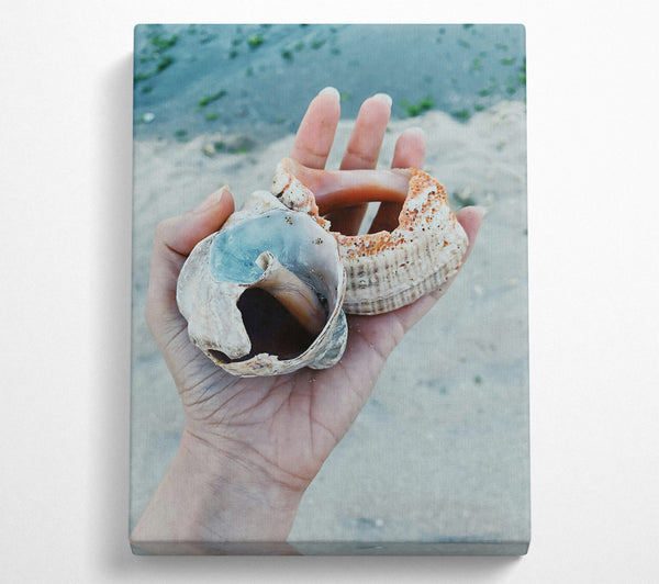  A Canvas Print of Blue Seashell Treasure Canvas Art