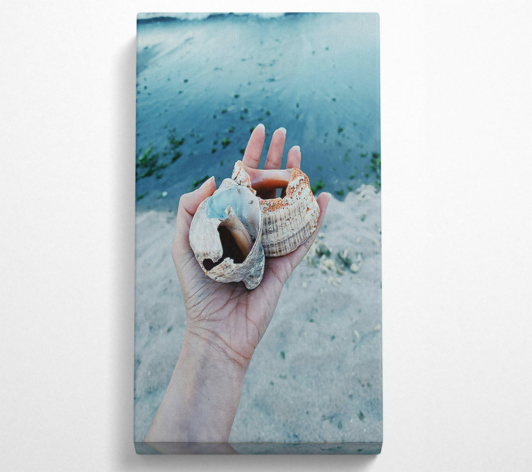  A Canvas Print of Blue Seashells On Sand Canvas Wall Art