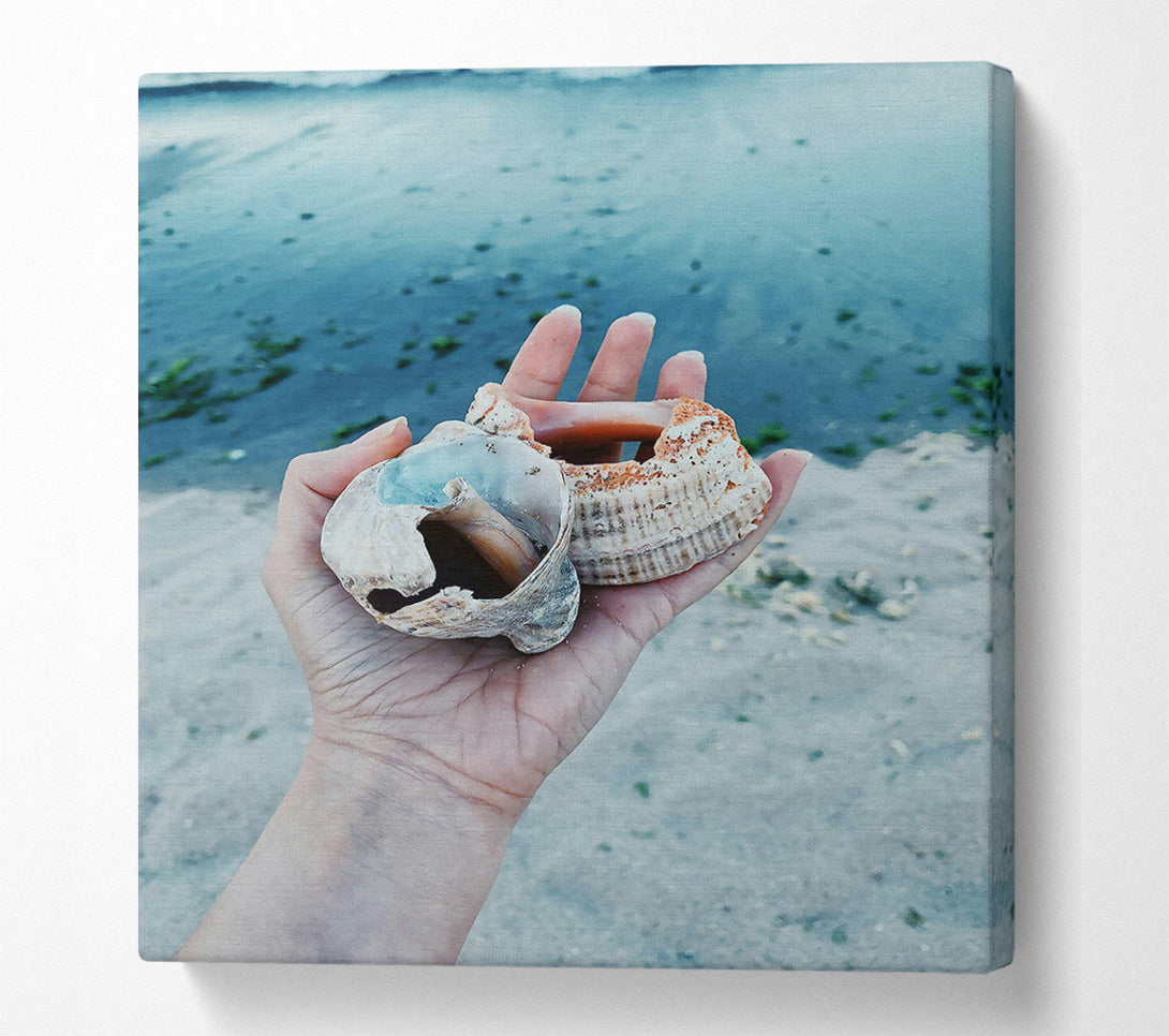  A Canvas Print of Blue Seashells On Sand Canvas Wall Art