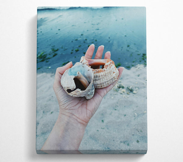  A Canvas Print of Blue Seashells On Sand Canvas Wall Art