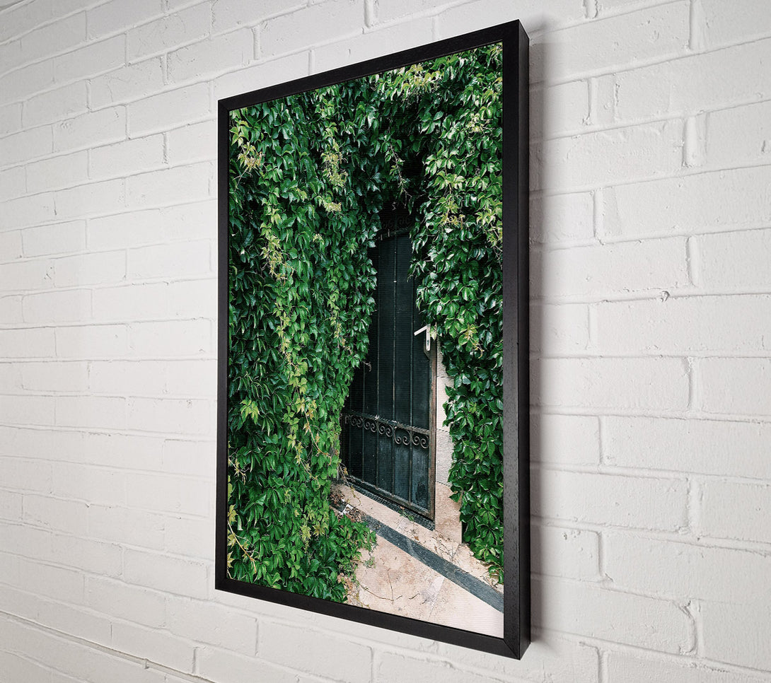  A Canvas Print of Green Doorway Mystery Canvas Print