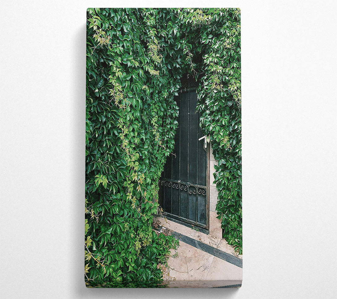  A Canvas Print of Green Doorway Mystery Canvas Print