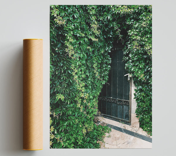 Green Doorway Mystery Poster