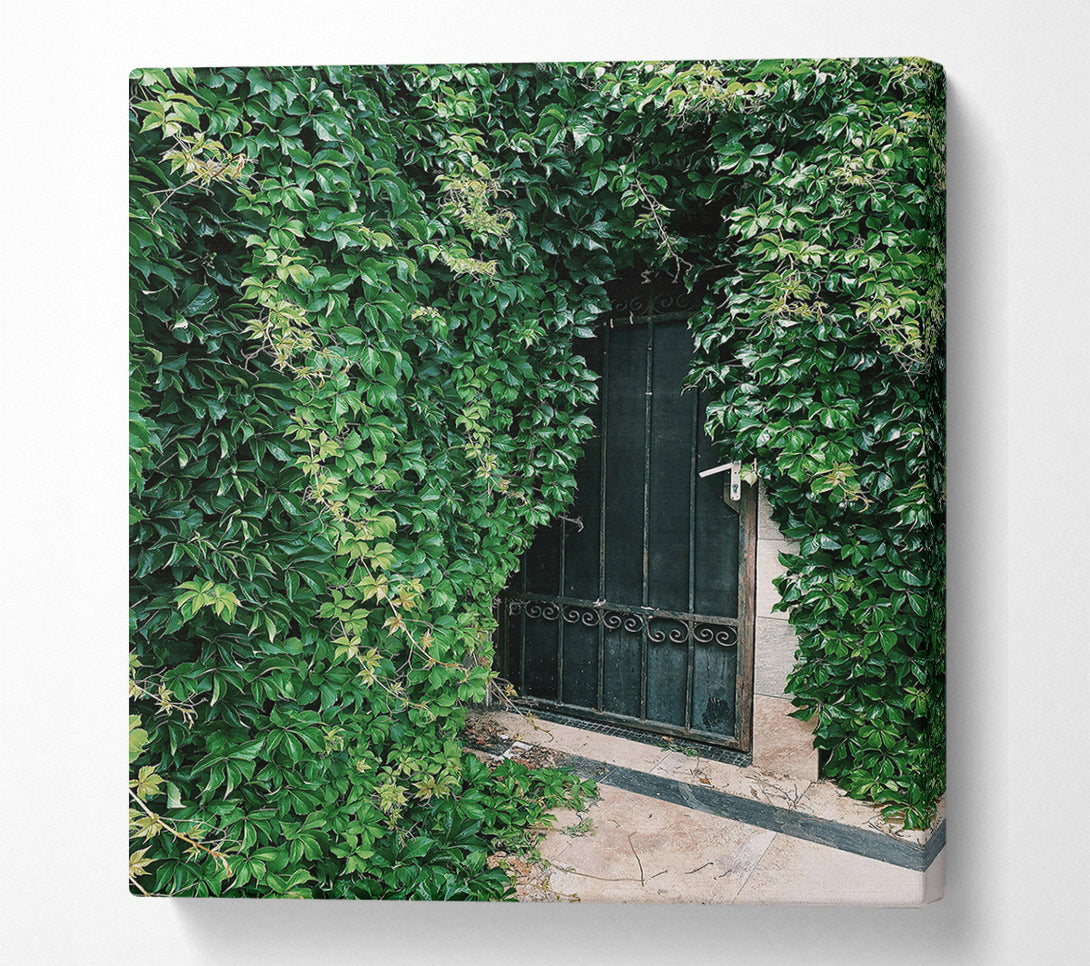  A Canvas Print of Green Doorway Mystery Canvas Print