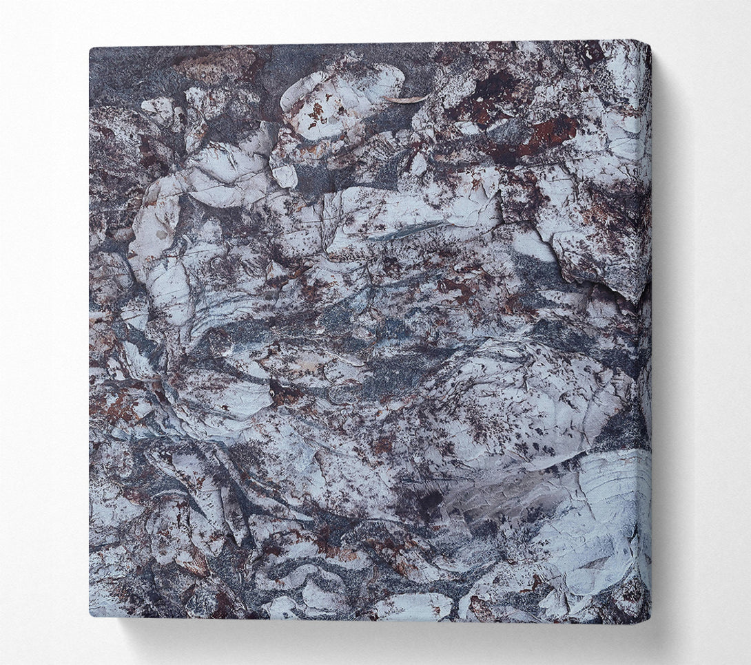  A Canvas Print of Stone'S Grey Embrace Canvas Print