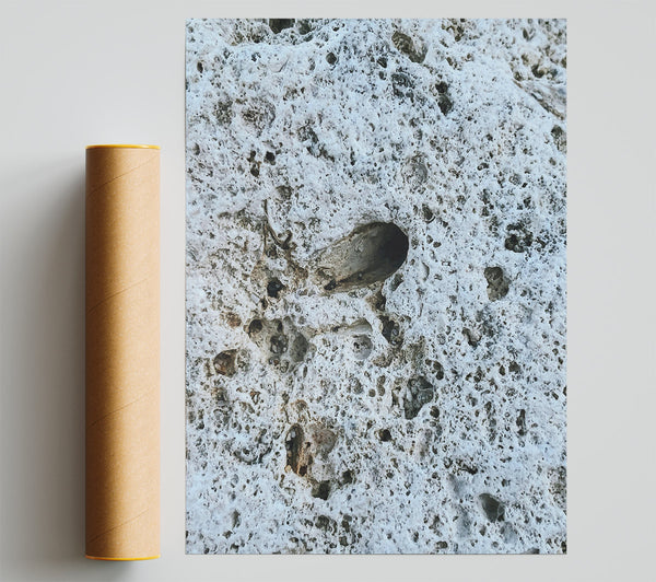 White Porous Stone Poster
