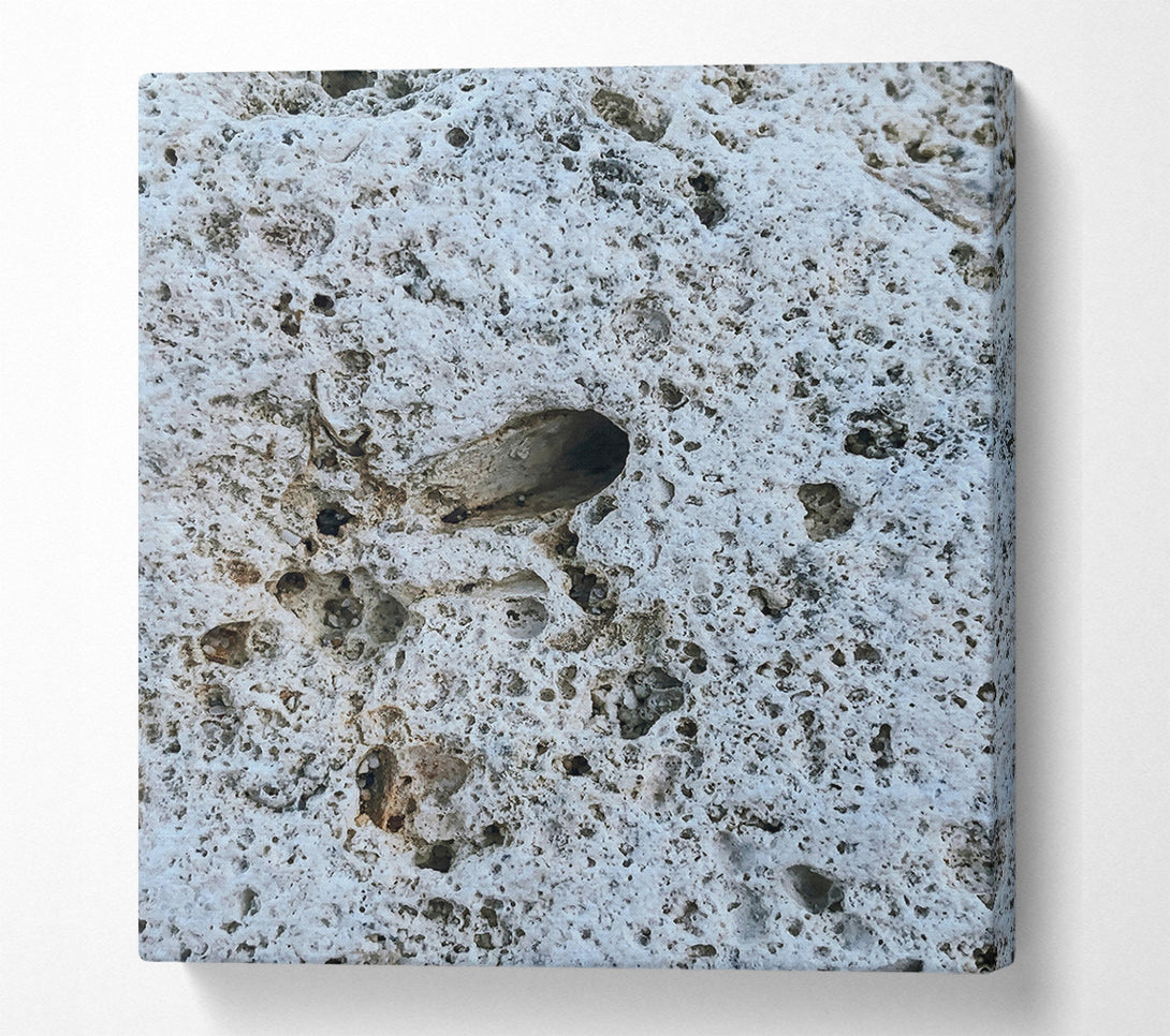  A Canvas Print of White Porous Stone Canvas Wall Art