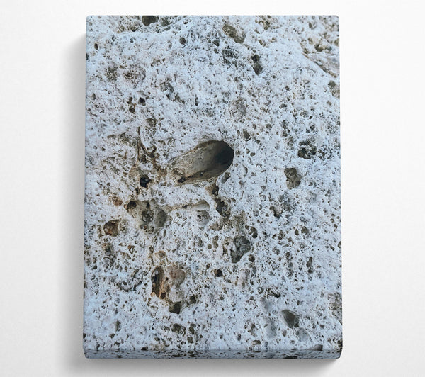  A Canvas Print of White Porous Stone Canvas Wall Art
