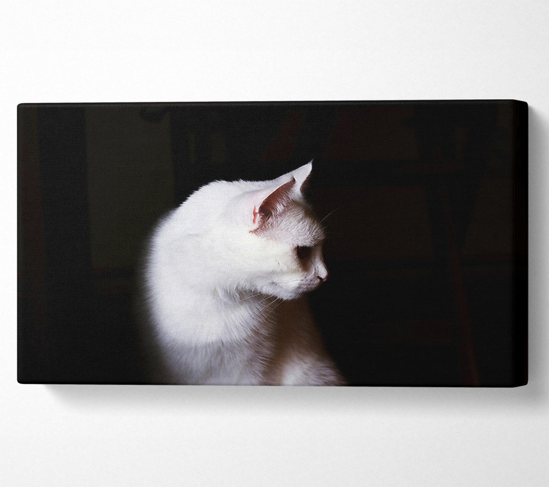  A Canvas Print of White Shadow In The Dark Canvas Wall Art