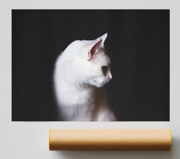 White Shadow In The Dark Giclee Print