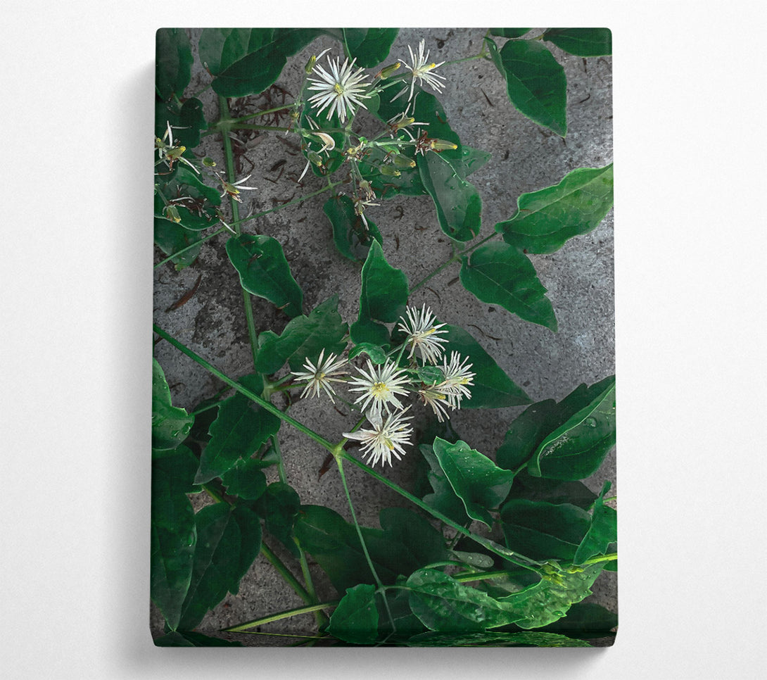  A Canvas Print of Emerald Green Blooms Canvas Art