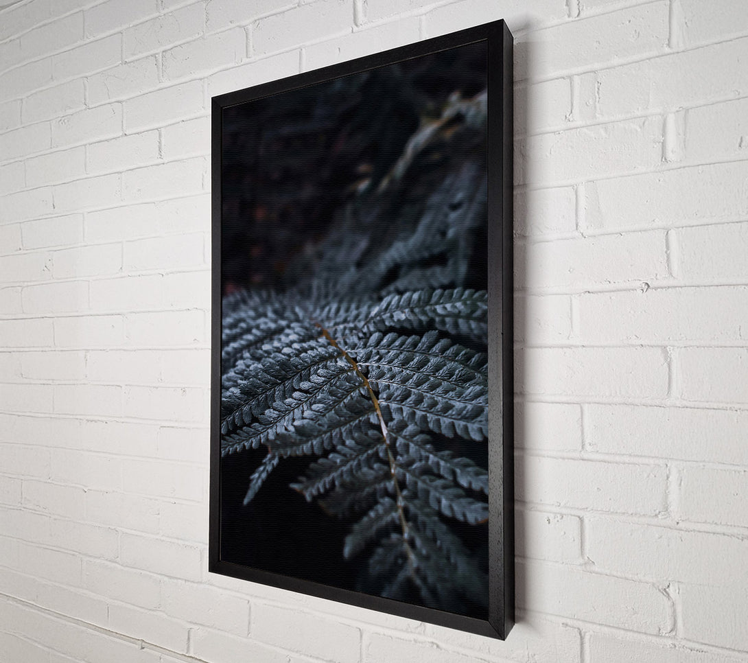  A Canvas Print of Dark Green Fern Frond Canvas Print